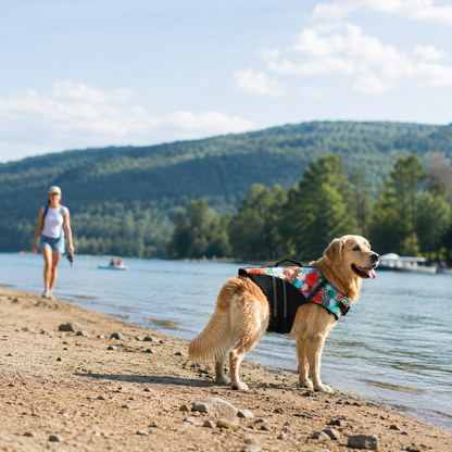 AquaPup® Life Vest